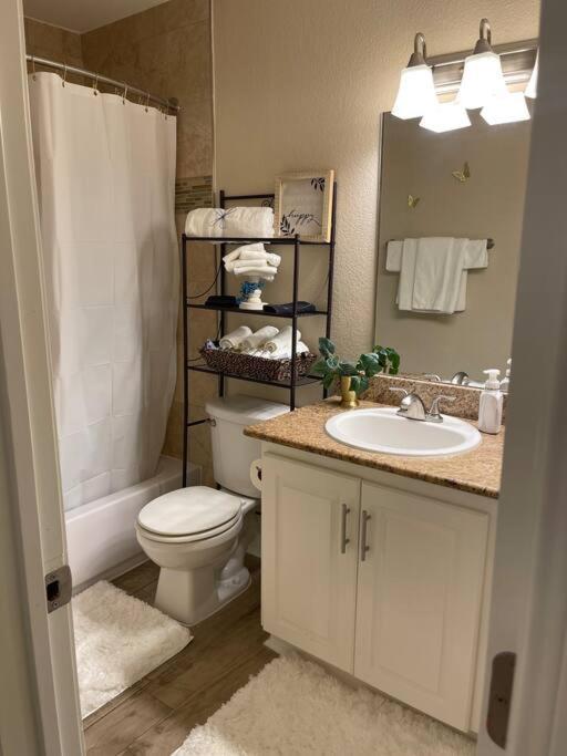 Beautiful/Spacious 2 Bedroom Houston Near Galleria 外观 照片