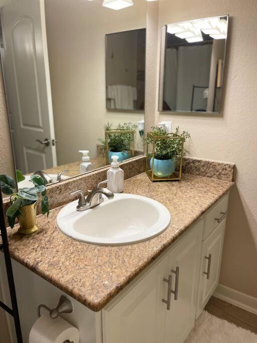 Beautiful/Spacious 2 Bedroom Houston Near Galleria 外观 照片